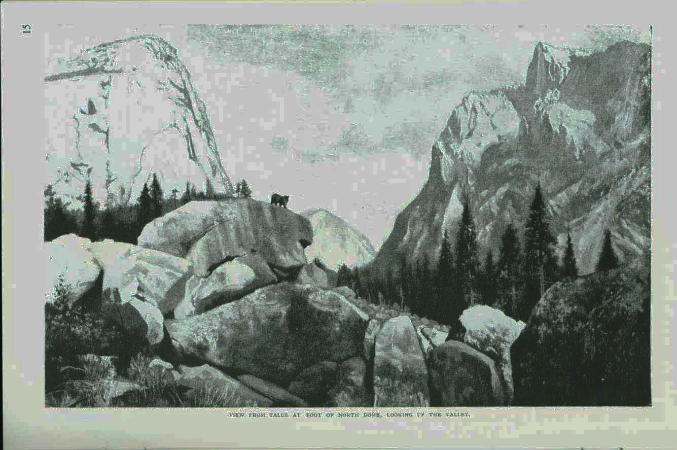 A Rival of the Yosemite: The Ca�on of the South Fork of King's River, California. vist0010h